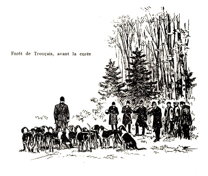 En forêt de Tronçais - Tiré de l'ouvrage Veneurs par le commandant de Montergon (1950) - Centaure - Michel Delaveau (Paris)